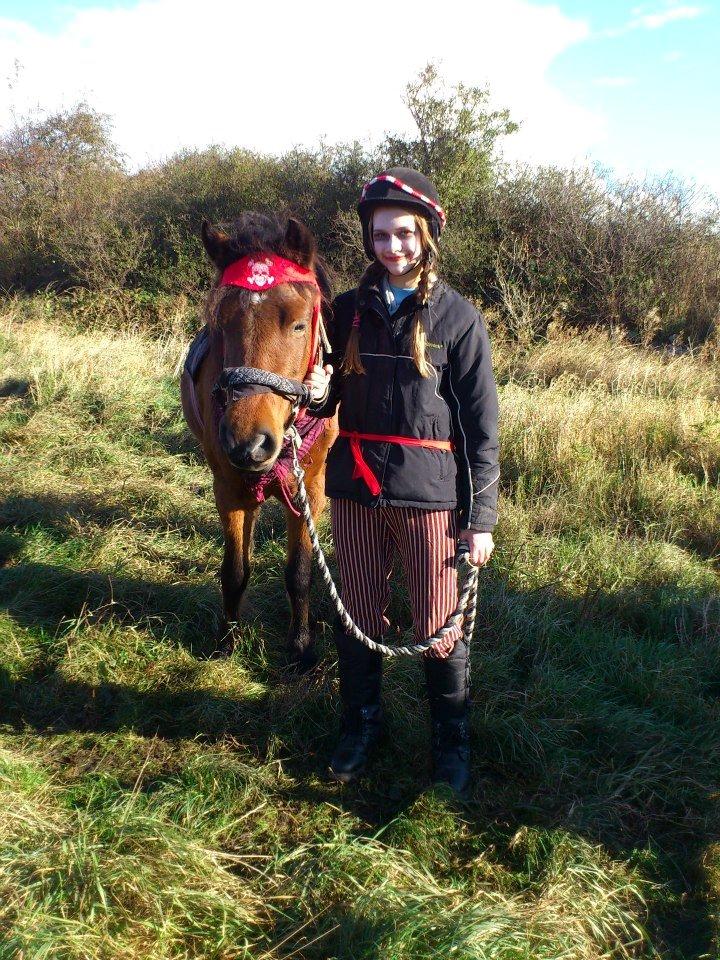 New Forest Tequila Sunrise - Oktoberlejr 2012 - Tequila fik en 1 plads som bedst udklædte hest, og jeg en 2. plads blandt bedst udklædte ryttere. Foto: Pia Mouridsen.  billede 8