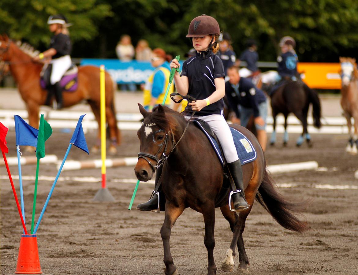 Anden særlig race My La Belle - Landsfinalerne ponygames billede 11