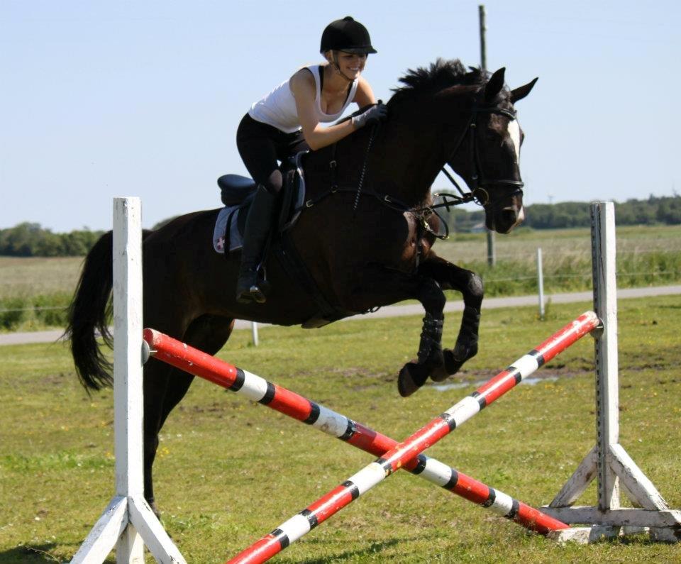 Anden særlig race Filana - Opvarmning på søde hesten! Foto: NB billede 27