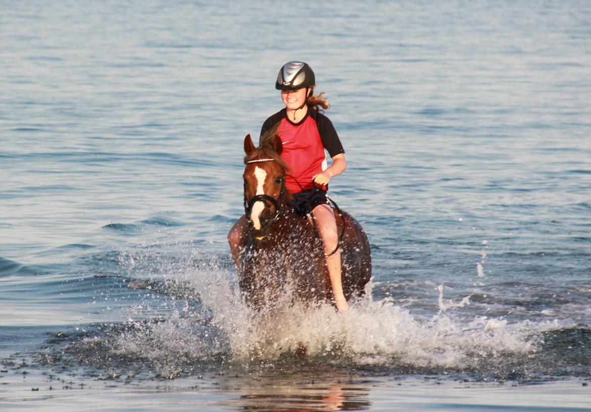 DSP Jestis Antine BRSDH 277 billede 10