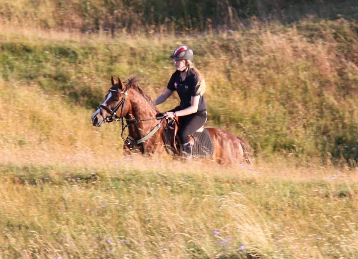 DSP Jestis Antine BRSDH 277 billede 11