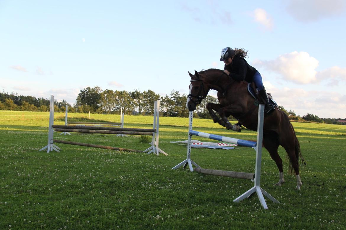 DSP Jestis Antine BRSDH 277 billede 18