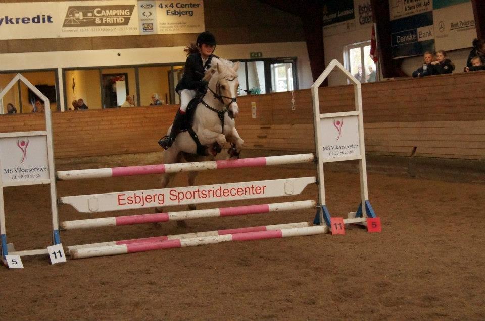 Anden særlig race Silver<3. - La hvor vi vandt <3 billede 18