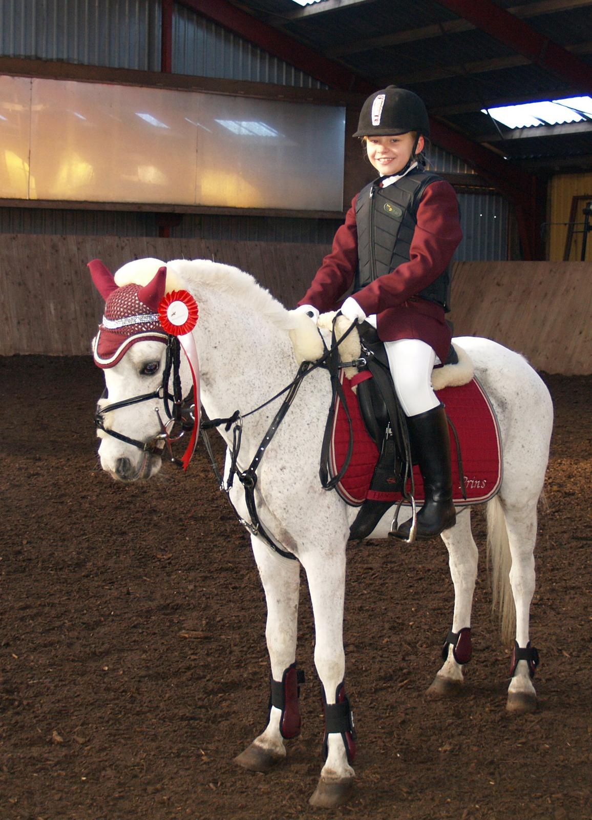 Welsh Mountain (sec A) Hedegårdens Prins - Sofia og Prins har lige vundet 40 cm spring. Bagefter vandt de også 50 cm spring:-) billede 9