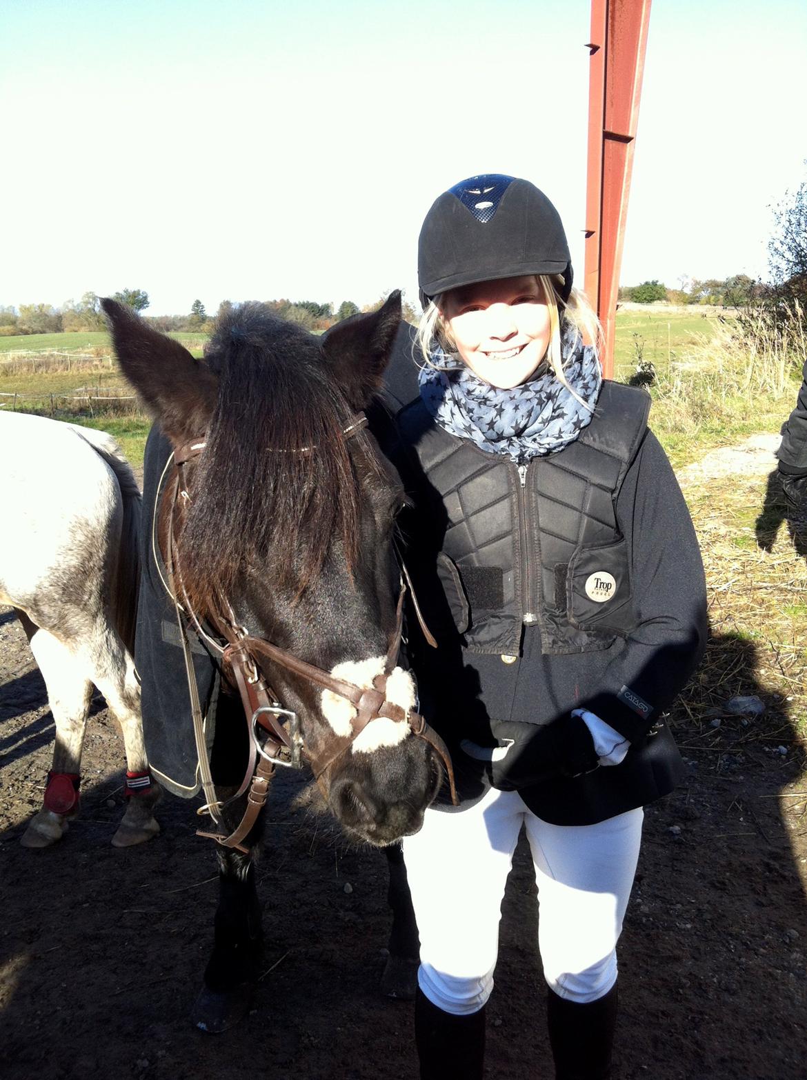 Connemara Jasmin - Til stævne på HES xD billede 6