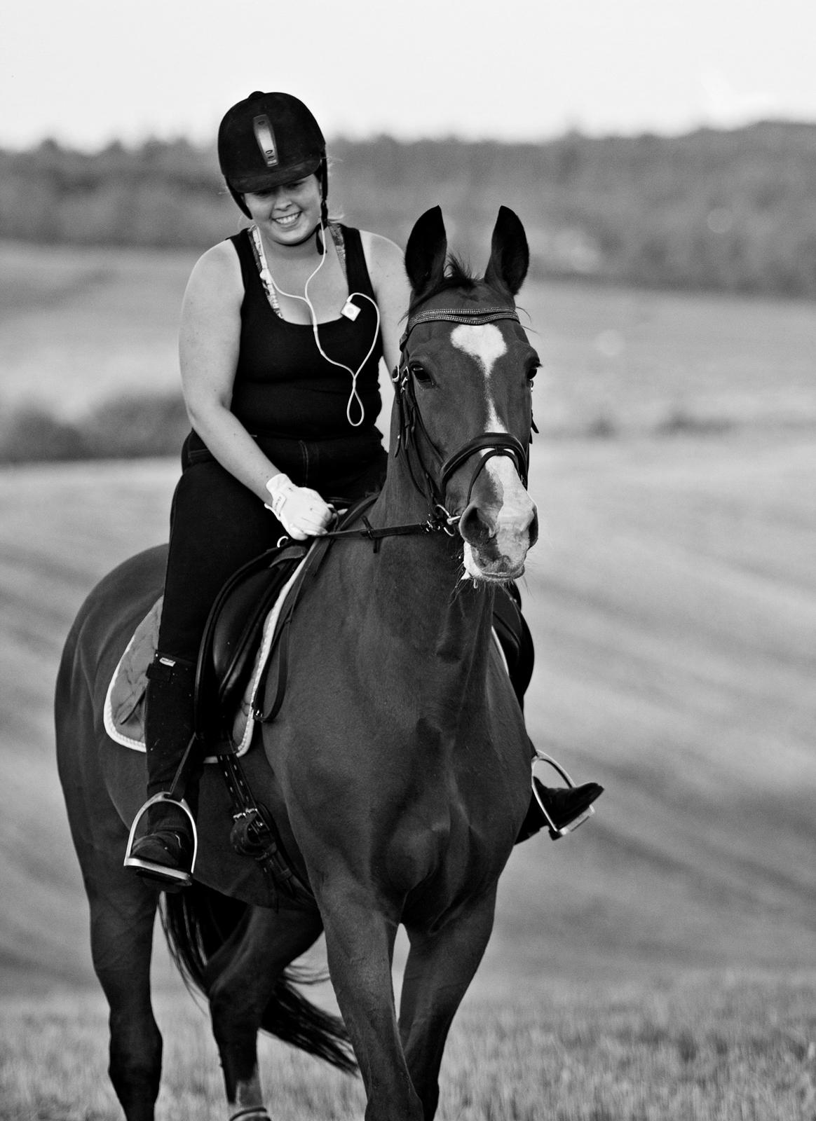 Hollandsk Varmblod Octopussy aka Pusle - varm sensommer dag hvor vi nyder stubmarkerne billede 6