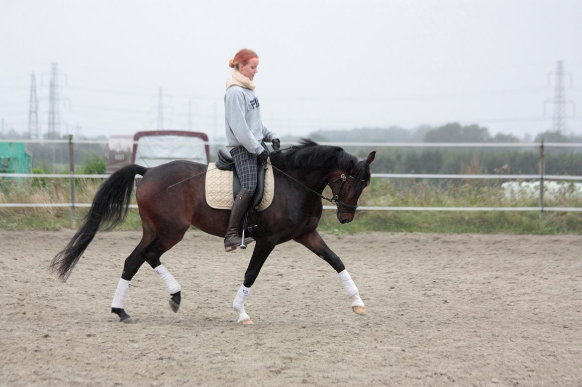 DSP | Vasehøjs Kasira | - Sep. 2012 billede 20