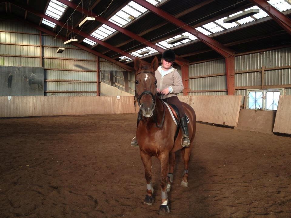 Hannoveraner Lianise (Prinsessen) billede 3