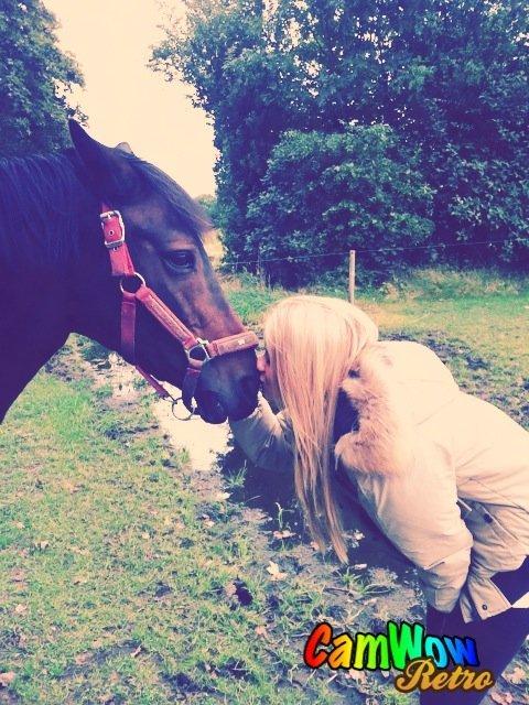 New Forest Stenhøjgaards Amanda <3 - Mig og Amanda mysser <3 billede 7