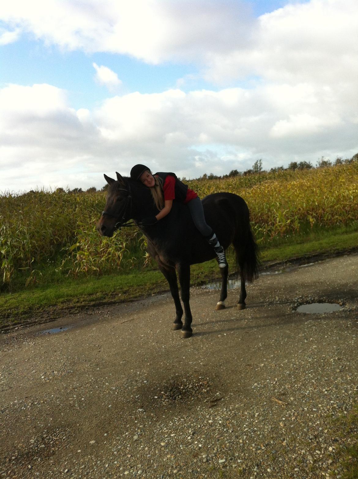 New Forest Stenhøjgaards Amanda <3 - Så nuttet <3 billede 13