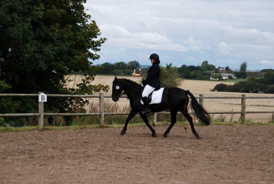 Anden særlig race Thyra - Dressur stævne på den skøre :-)! billede 8