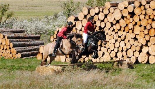 Anden særlig race Thyra - Forårsjagt på den skøre :-) Vi red bagmarster sammen med Tina på hendes hest Safir :b billede 10