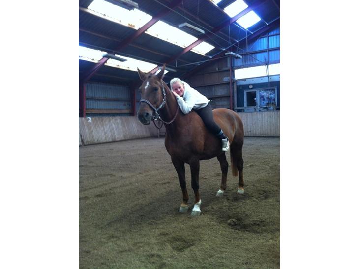 {{currentPhoto.altText}} billede {{currentPhoto.number}}