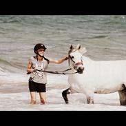 Connemara Daisy's Delight