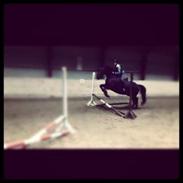 Oldenborg Titus (Hvil i fred min prins <3)