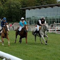 Anden særlig race Amadeus *Ama*