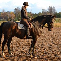 Anden særlig race Toftegård's Bounty [Min part]