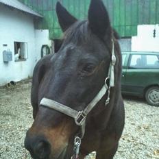 Anden særlig race Lotte!<3:)