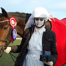 Trakehner Turned Up At Noon