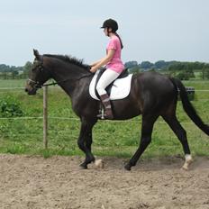 Oldenborg Adell af Vodagergård