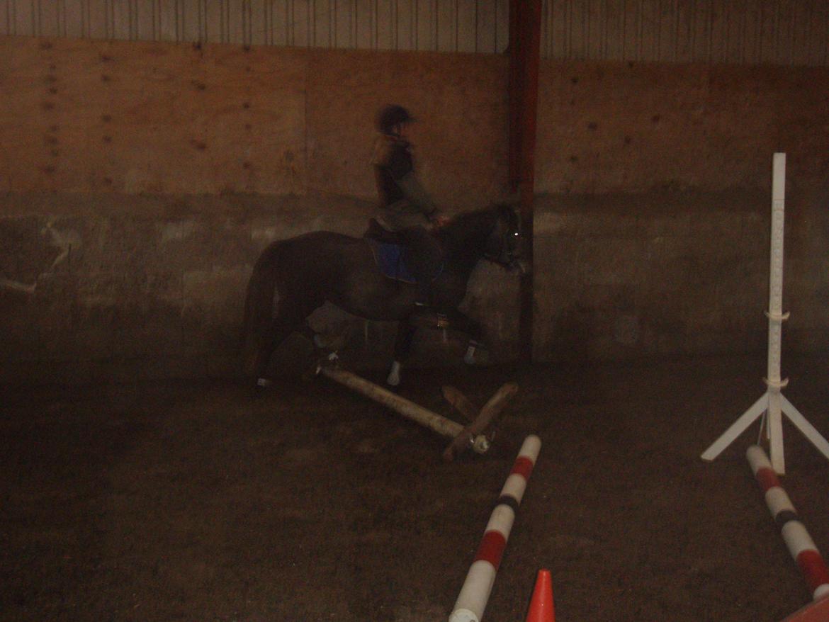 Anden særlig race Fanta billede 7