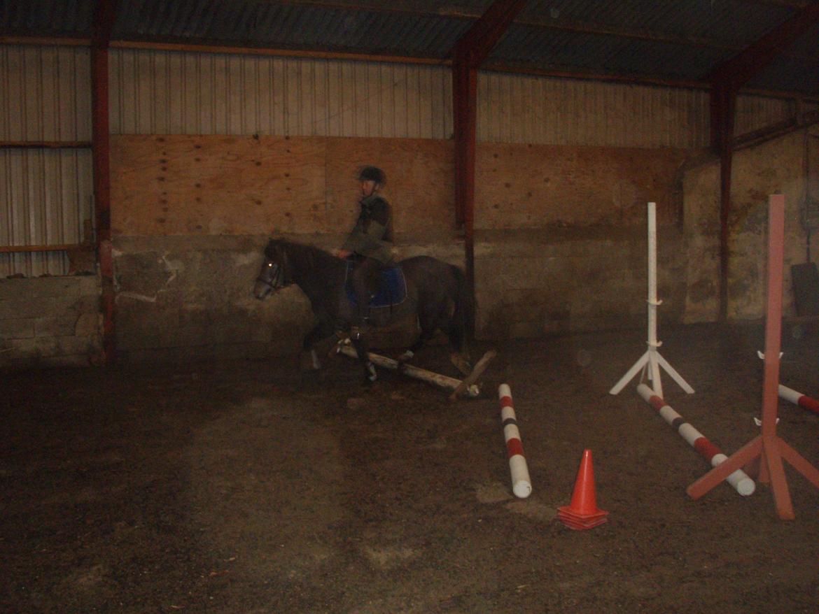 Anden særlig race Fanta billede 8