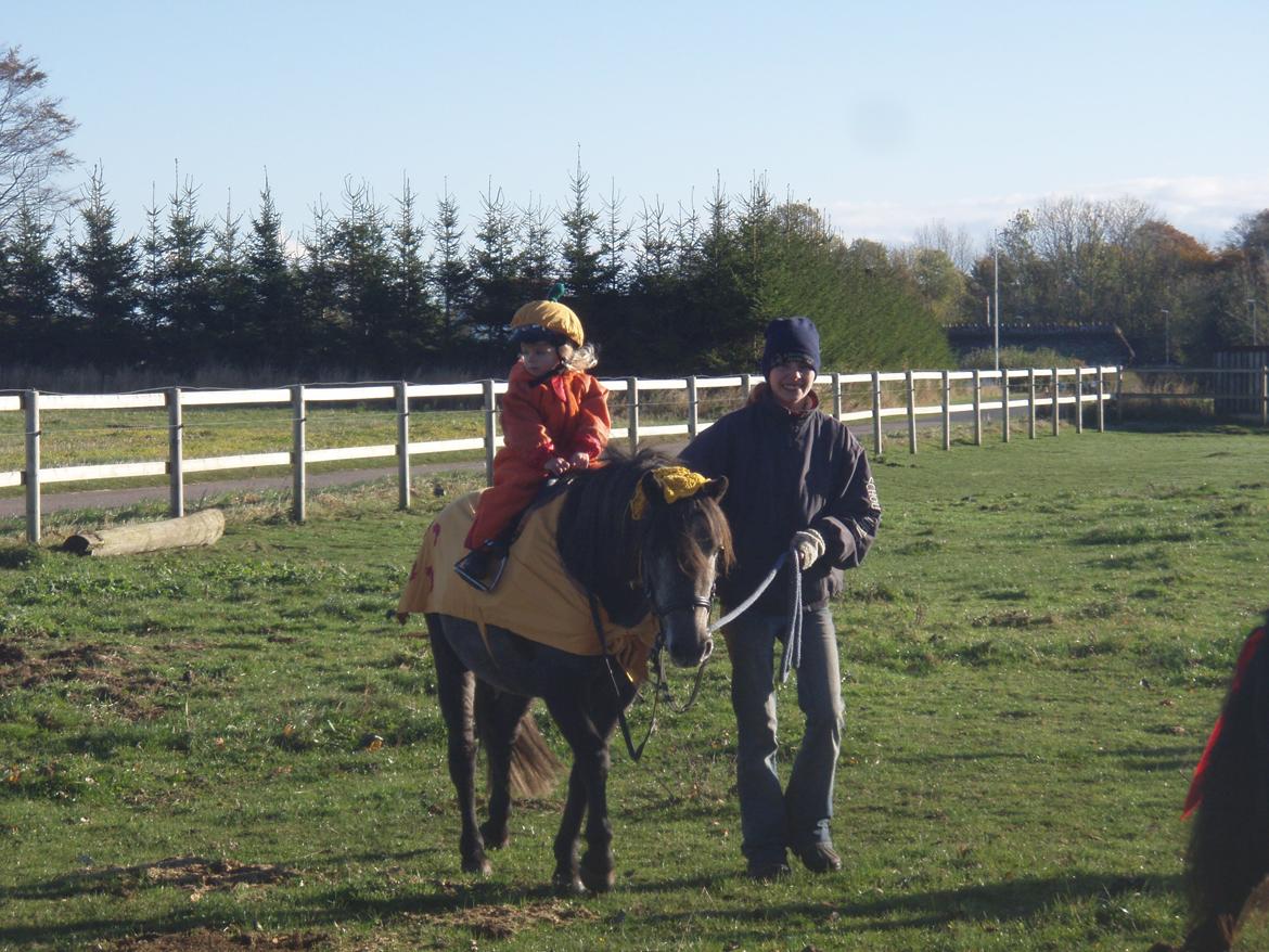 Anden særlig race Fanta billede 10