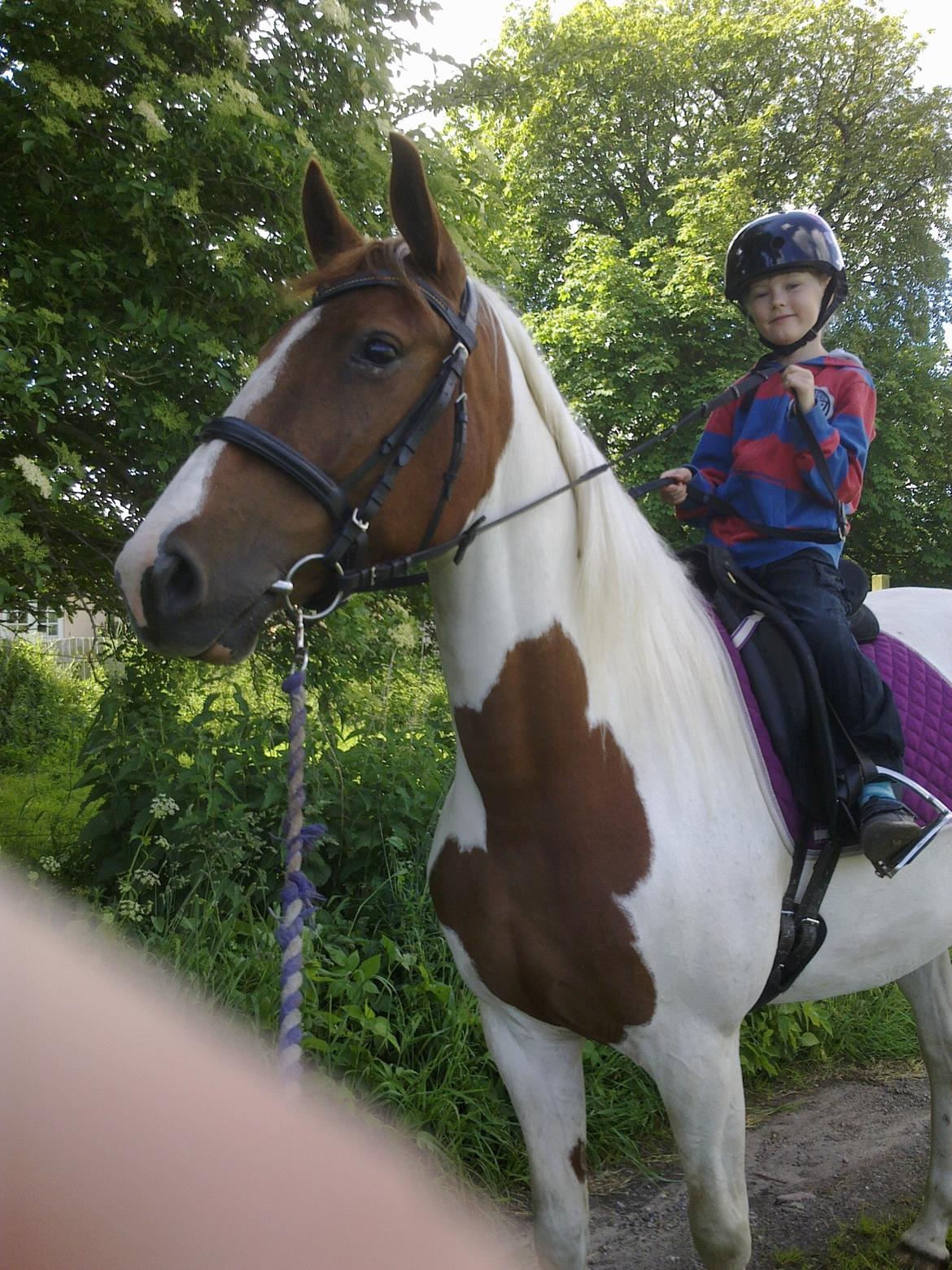 Pinto Katja - 2 dejlige piger billede 20