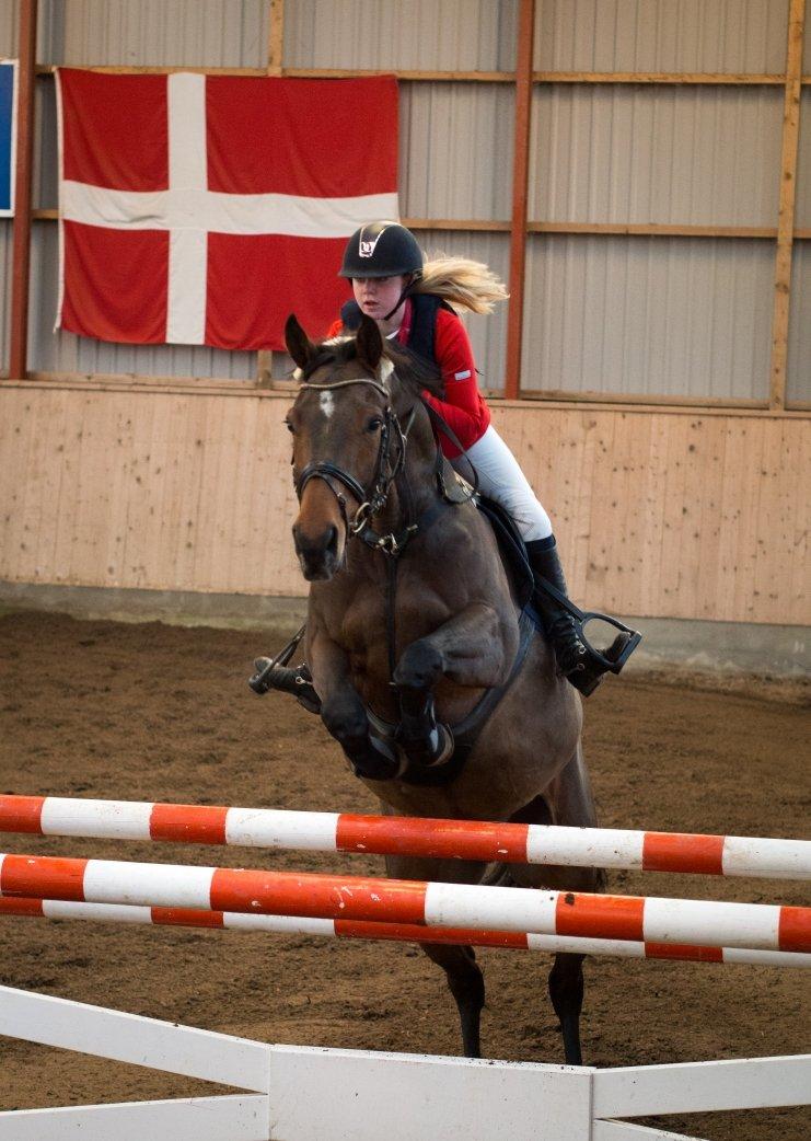 Tysk Varmblod | Giaccomo 43 - LA2** AAGS halloweenstævne!
Foto: Rune Jensen billede 2