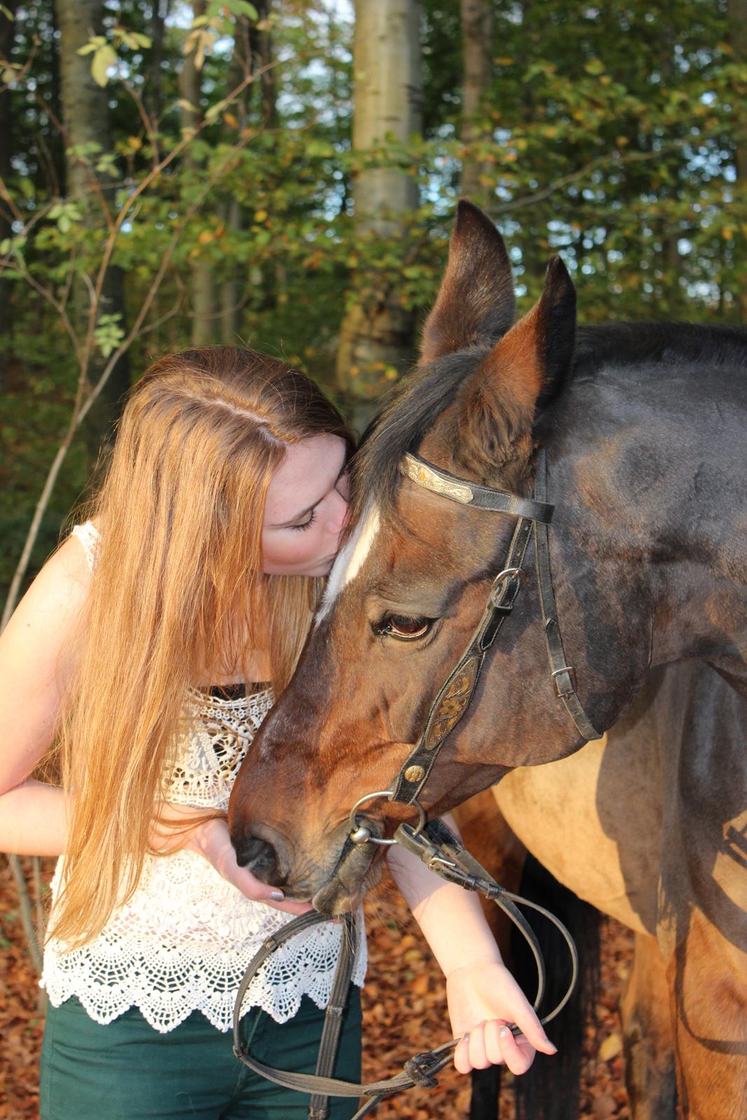 Dansk Varmblod Madame Moiselle - Foto: Emilia Hentze billede 1