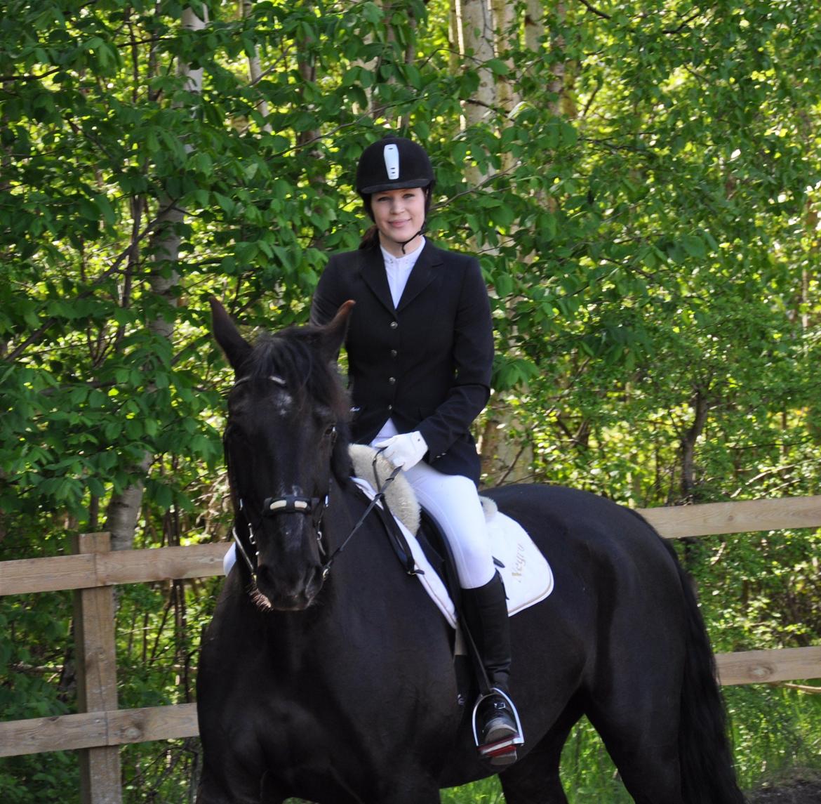 Oldenborg Negro billede 9