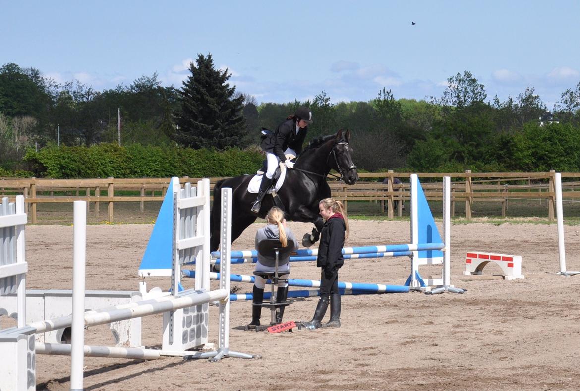 Oldenborg Negro billede 10