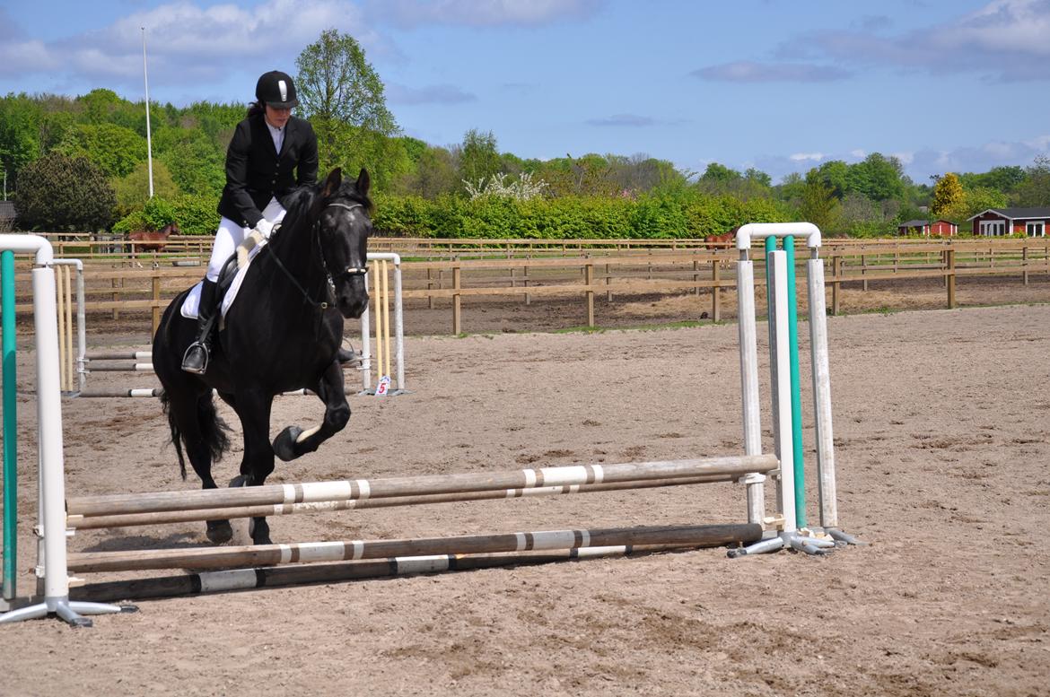 Oldenborg Negro billede 11