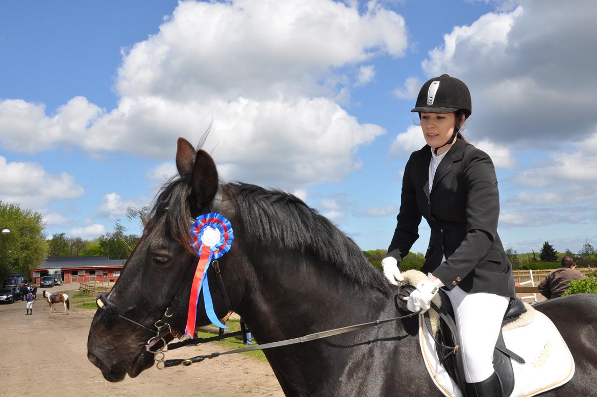 Oldenborg Negro billede 12