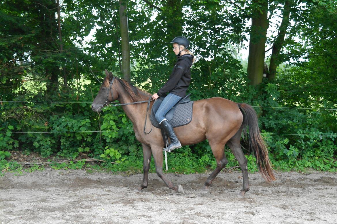 Anden særlig race shadow of touch - musen i trav ;) billede 19