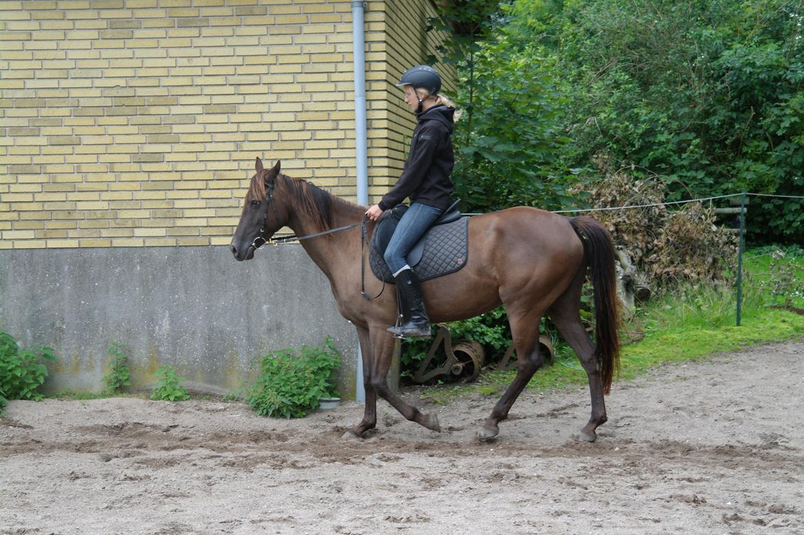 Anden særlig race shadow of touch - så dejlig du er! billede 21