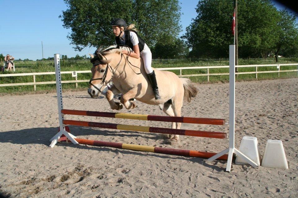 Fjordhest Frede <3 Guldponyen <2 - os to i en bareback :D  billede 4