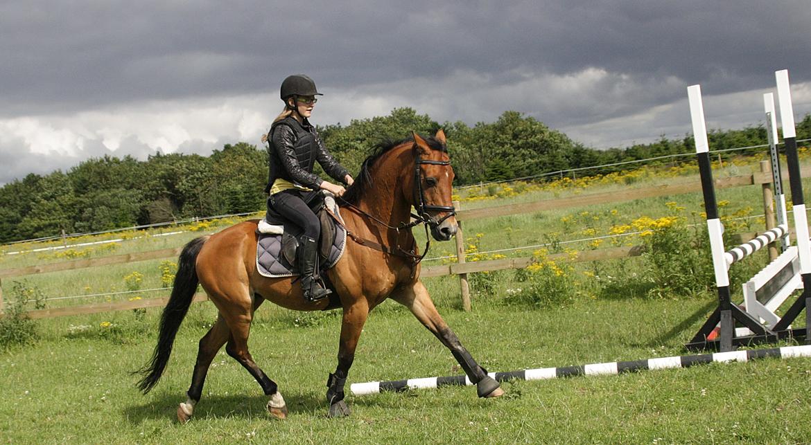 DSP Jokeren "Jokke" billede 15