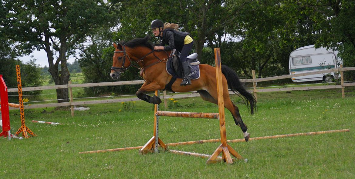 DSP Jokeren "Jokke" billede 16