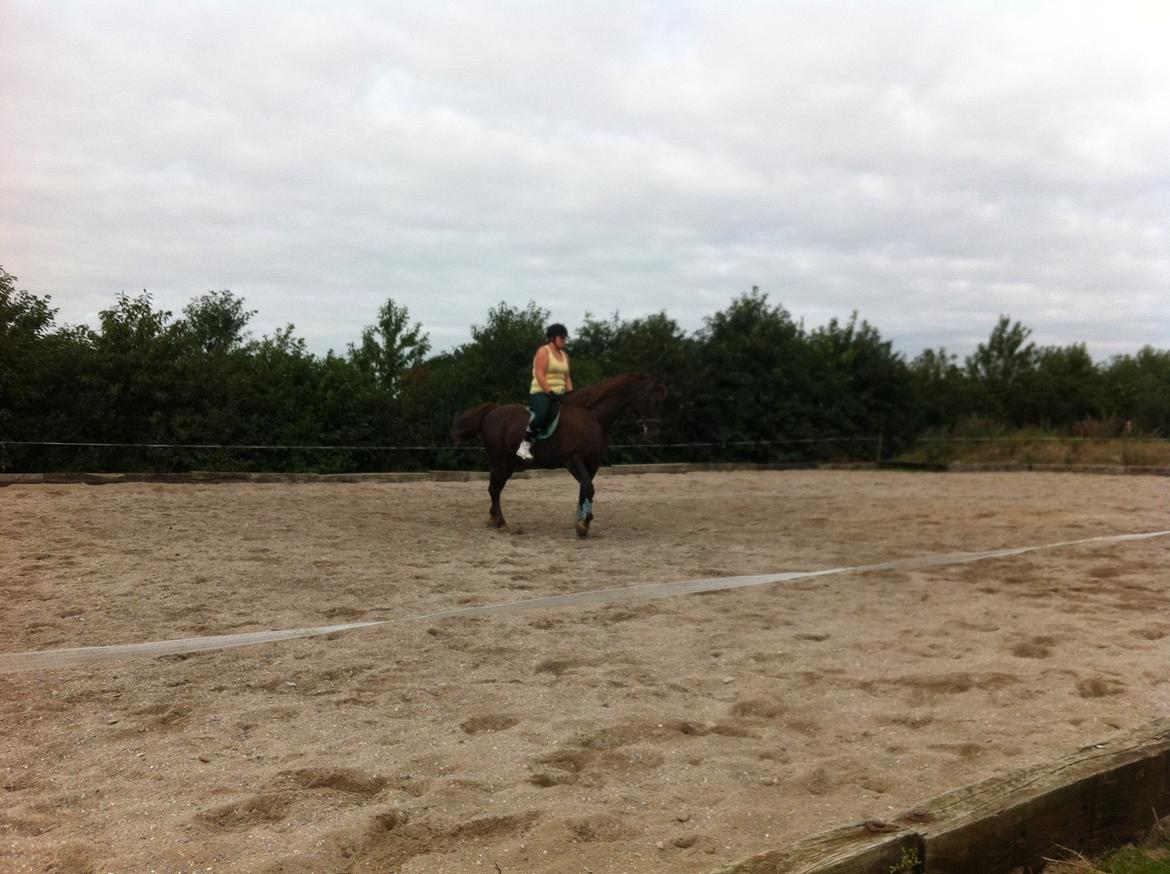 Oldenborg Sonny  <3 Savner min piige! billede 17