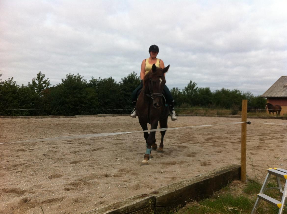 Oldenborg Sonny  <3 Savner min piige! billede 18