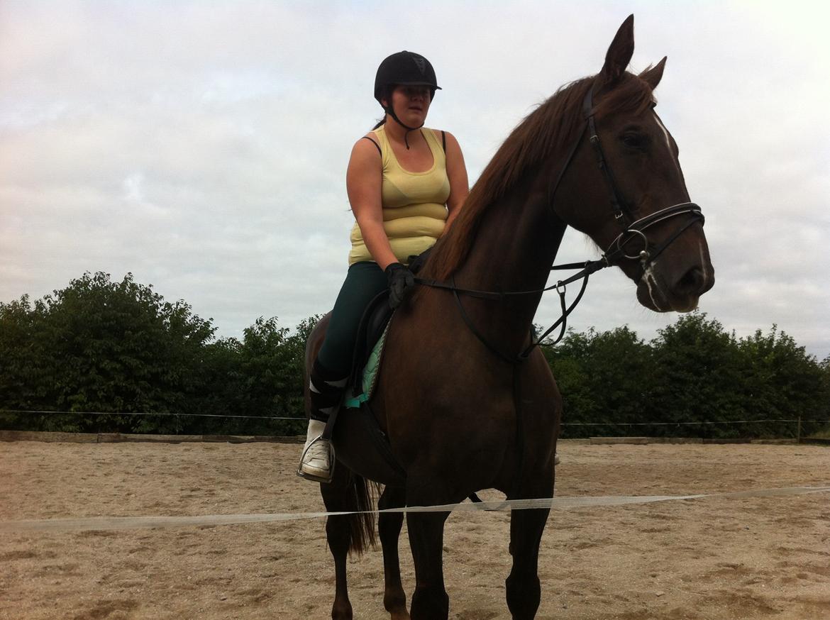 Oldenborg Sonny  <3 Savner min piige! billede 19