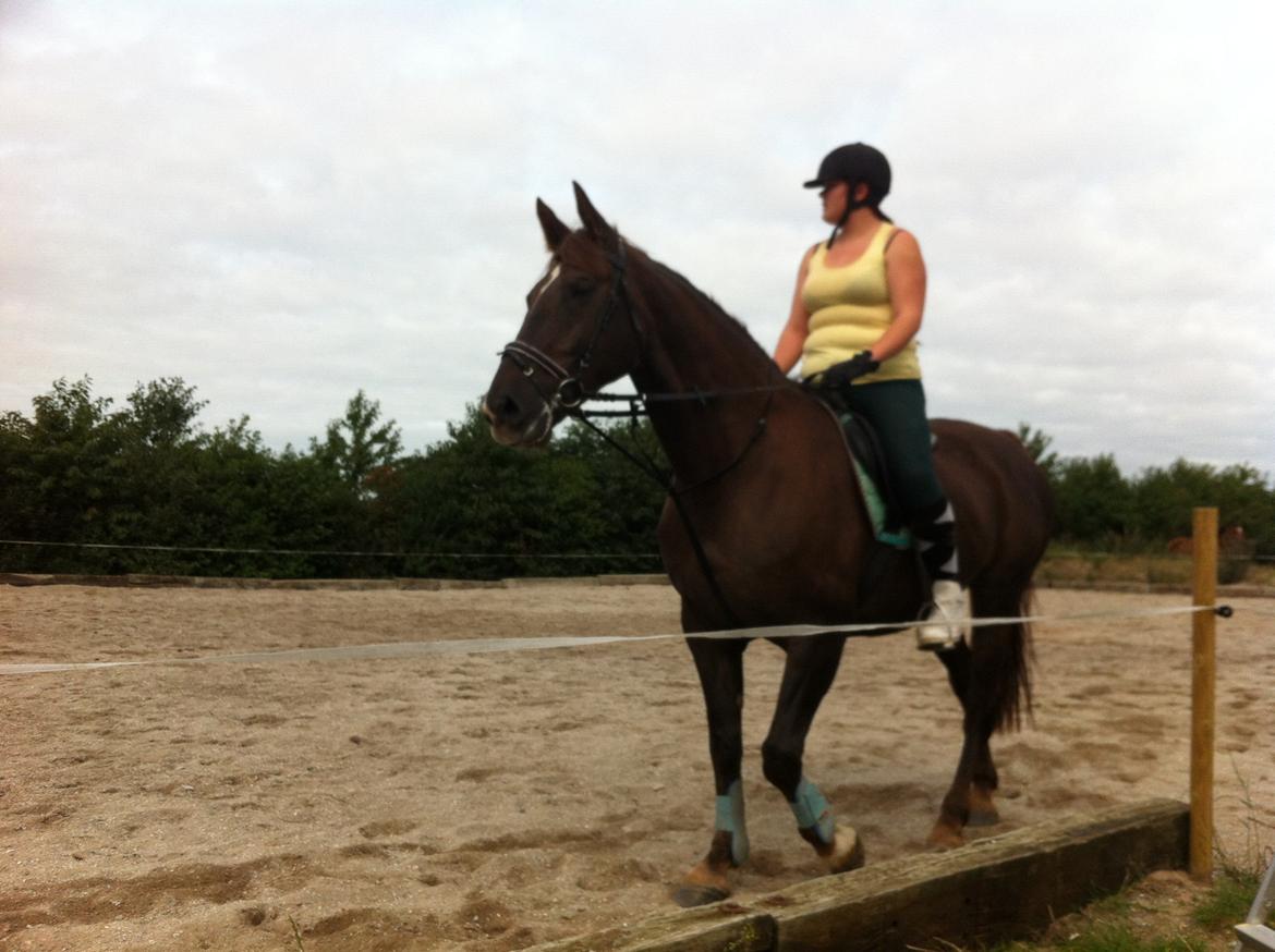 Oldenborg Sonny  <3 Savner min piige! billede 20