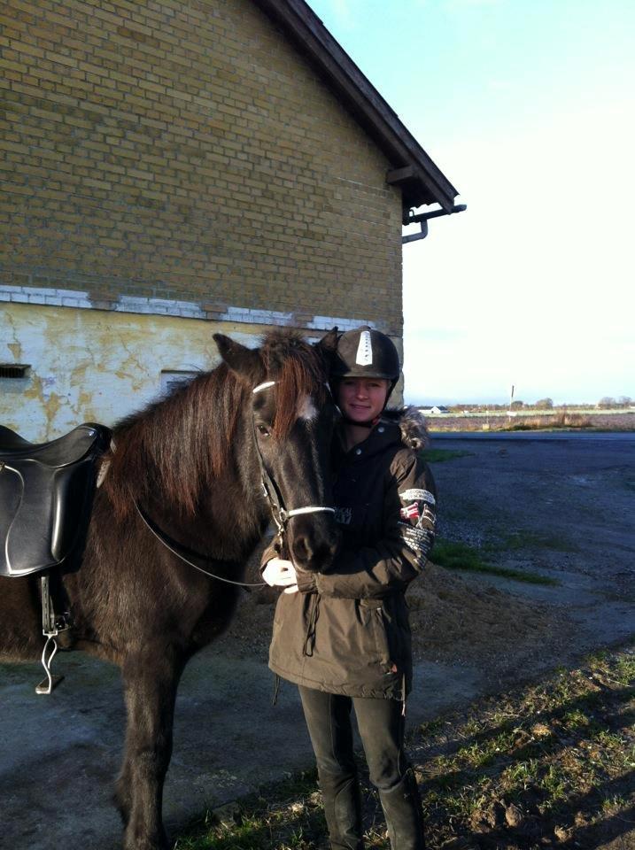 Islænder Rakel fra Vatnsleysu*solgt - På vej på morgen tur i den dejlige sol :D billede 13