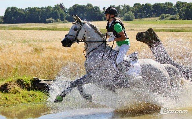 Connemara - Hedegårdens Junker |B-pony| - I vandet til military stævne i SØG. Vi vandt terrænet, ved at ramme præcis på idealtiden, med 0 stop. Den dag vi blev B-equipage <3 billede 5