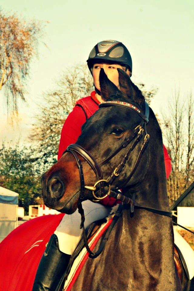 DSP Day-lights naomi - Lækkerheden til finalen for 5års Championatet 2012 som endte med en fin 3 plads <333 billede 38