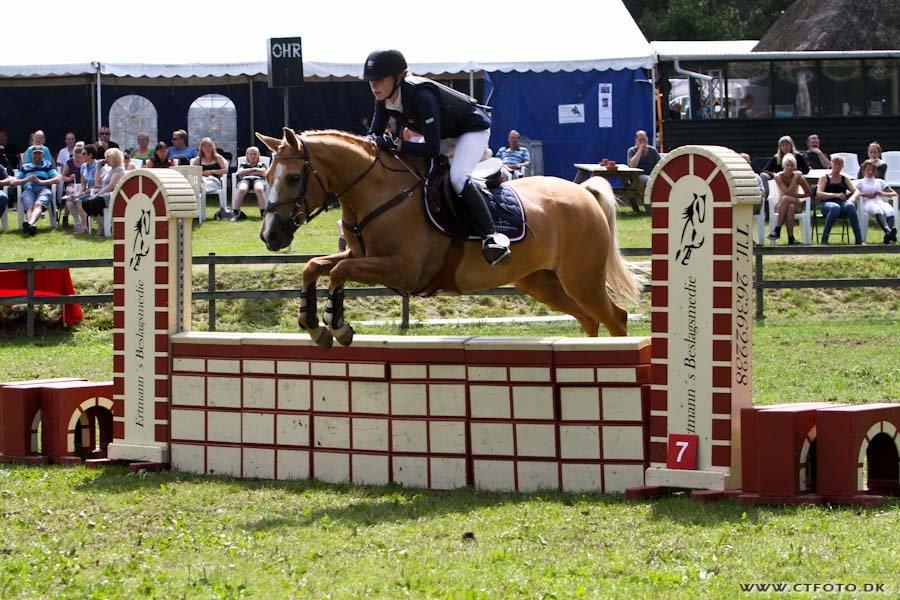 Palomino Tarzan <3 - Købt & Betalt!
D4 Horseshow fedt stævne! 4 ud af 6 placeringer<3 billede 11