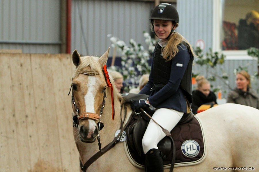 Palomino Tarzan <3 - Købt & Betalt!
Halloween stævne på AAGS 1 plads!<3 billede 14