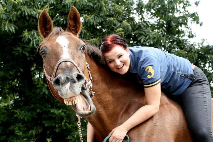 Dansk Varmblod Sprudalshøjs Guvanør - Taget af Camilla Lauridse billede 19