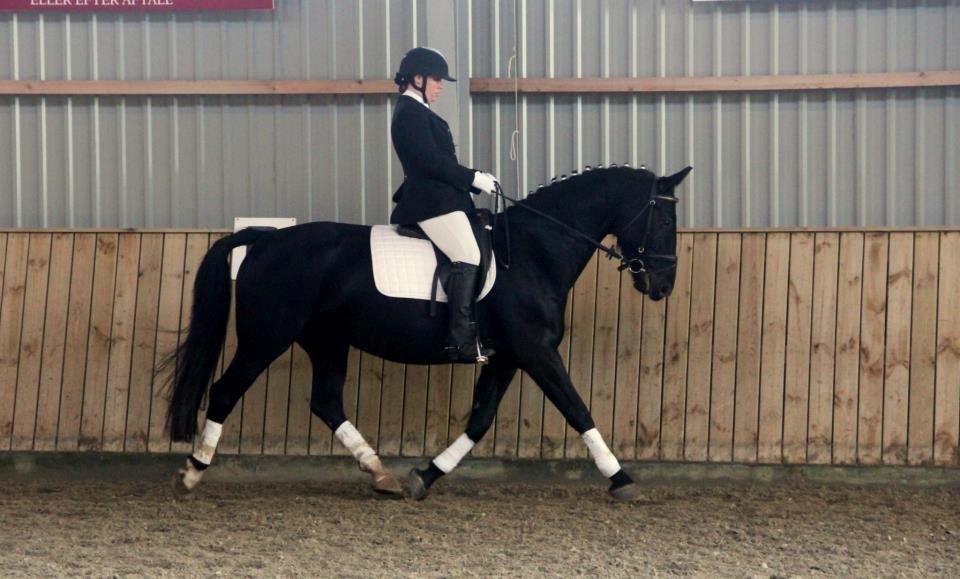 Anden særlig race Flika - Vores første stævne.  billede 13